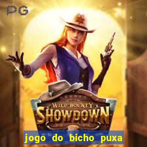 jogo do bicho puxa de dona maria